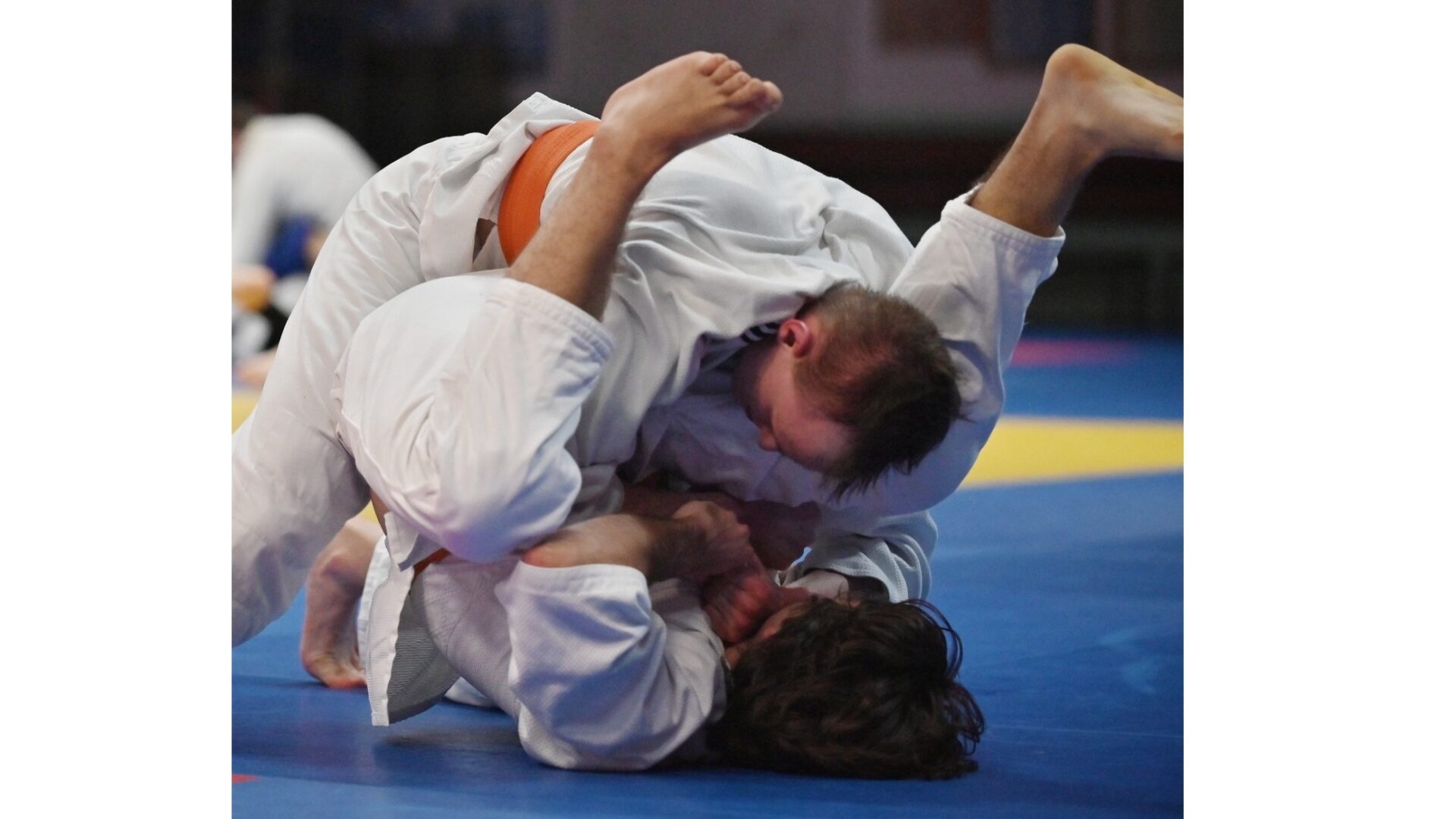 Judocy na pilskich matach